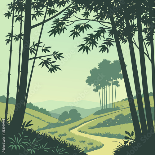 bamboo forest in the morning