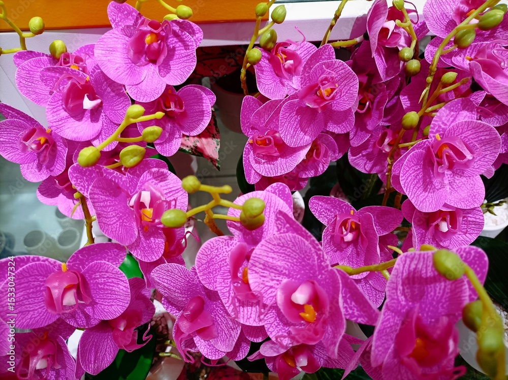 Fototapeta premium Closeup on beautiful flower bouquet