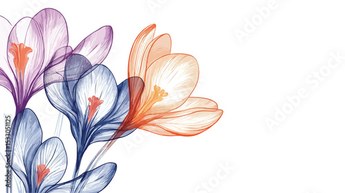 Elegant Crocus Flower Single Line Drawing with Copy Space Illustration