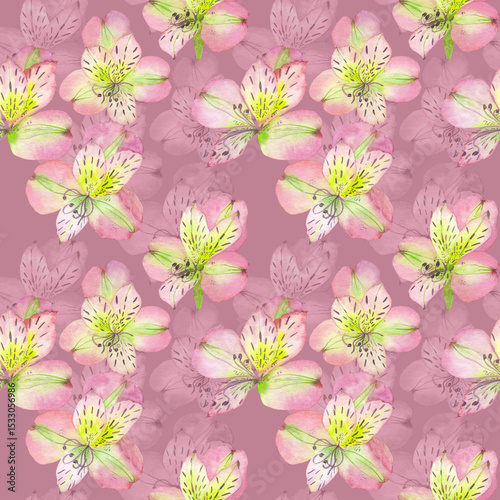 Fototapeta Watercolor Alstroemeria Seamless Pattern, Pink and Yellow Floral Repeat, Hand-pa