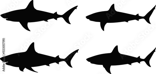 Four shark silhouettes arranged in a square pattern against a white background display image