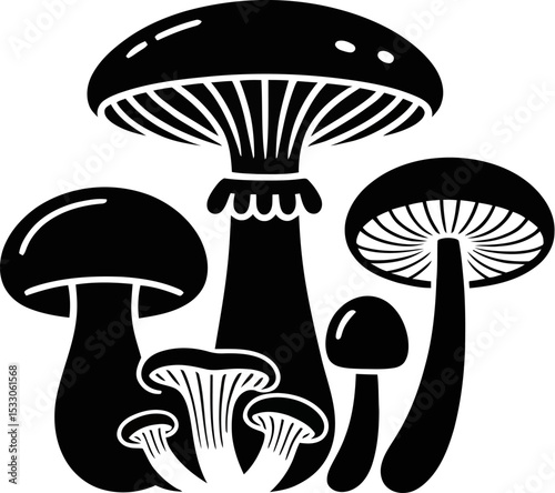 A monochrome vector illustration of a group of various mushrooms on a light background art design