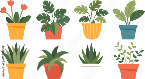 Illustration of eight potted plants with various leaf shapes and pot colors on white background