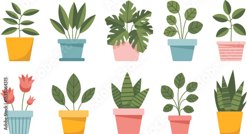 Illustration of ten potted plants with various leaf shapes and pot colors on a white background