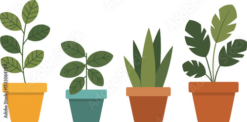 Illustration of four potted plants with different leaf shapes and pot colors on white background