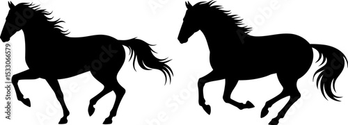 Two black horse silhouettes running side by side on a white background in a vector illustration