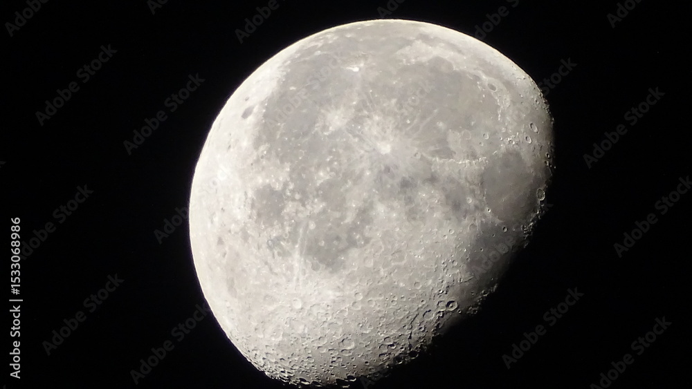 Fototapeta premium moon