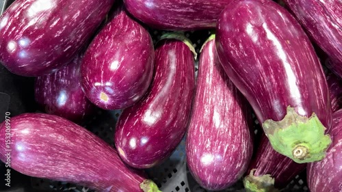 Wallpaper Mural Ripe dark eggplants in a cardboard box for sale in an elite supermarket. Healthy eating. Close-up. Torontodigital.ca