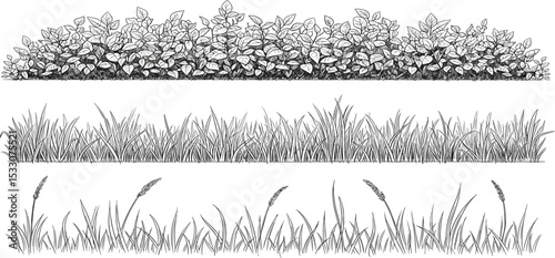 set of forest line cad, minimal isolated on white background. Ground cover. Illustration for elevation architectural element, side view, grass section. Turf coating banners for edging.