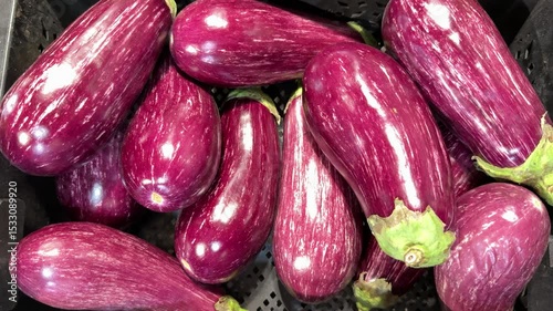 Wallpaper Mural Ripe dark eggplants in a cardboard box for sale in an elite supermarket. Healthy eating. Close-up. Torontodigital.ca