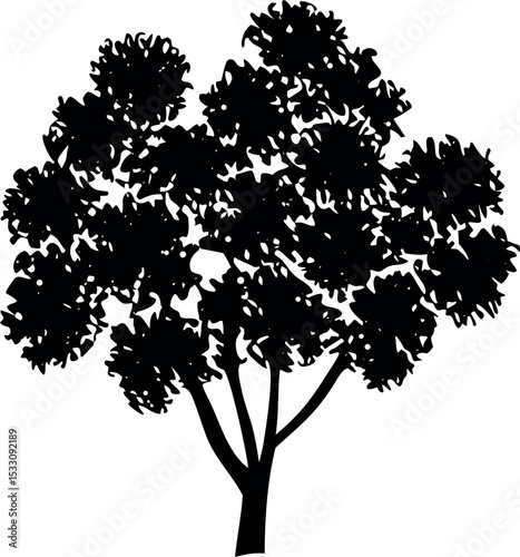 black and white vector tree silhouette  on white background 