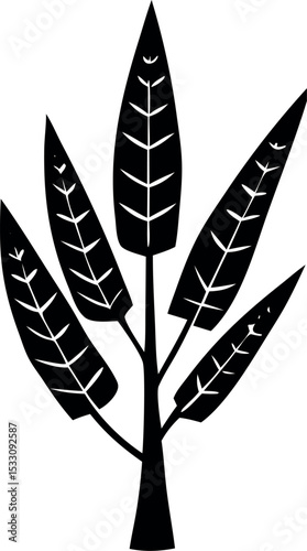 silhouette of a leaf 