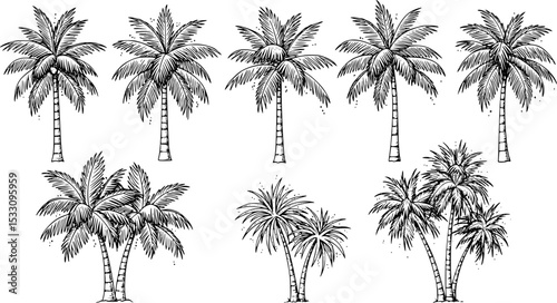 Palm trees on white background. Logo and print design templates, summer palms, tropical surfing concept, vacation and travel. EPS 10 version.