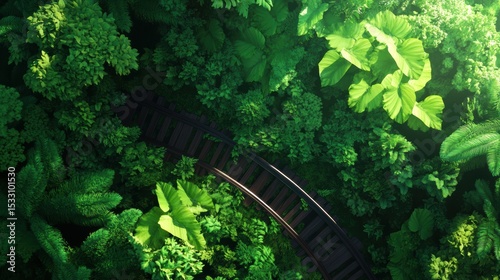 Aerial view of wooden train tracks in lush tropical jungle