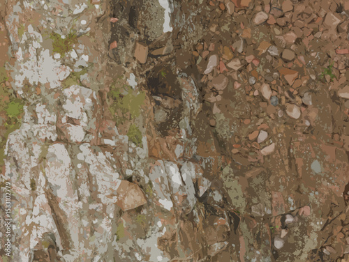 Scattered rocks