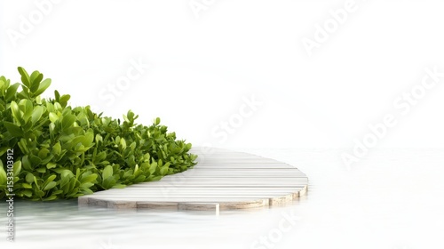Serene wooden dock with lush green foliage