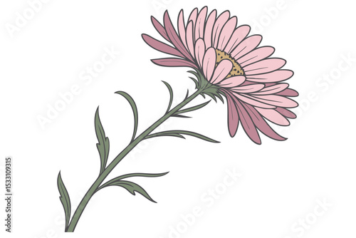 Aster Floral Design Minimal Style