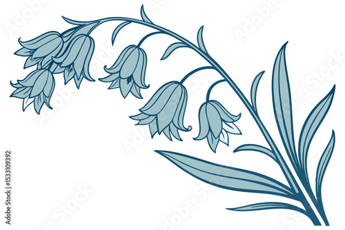 Bluebell Line Flower Isolated Vector