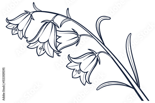 Elegant Bluebell Illustration on White