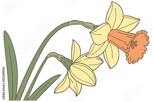 Minimal Daffodil Line Art Floral Design
