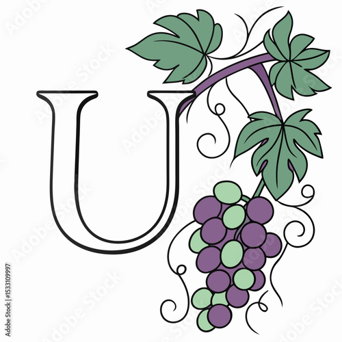 Illustration of letter U entwined with grapevines and a bunch of grapes in a decorative design