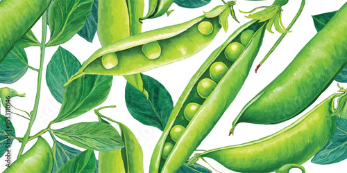 Fresh Green Pea Pods and Leaves Seamless Pattern. Garden Vegetable Botanical Design for textile, packaging, fabric, wallpaper, branding, stationery, wrapping paper interior decor.