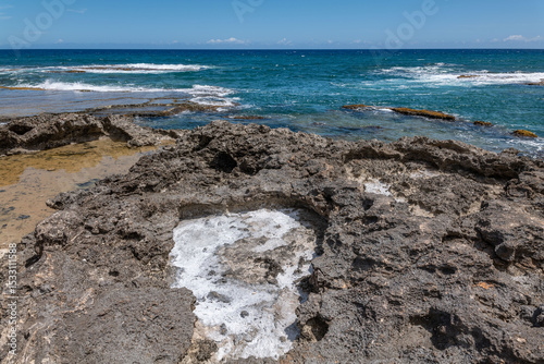 Calcareous reef rock and marine sediment (Pleistocene), Chiefly emerged coral reefs. Kaʻena Point Trail（North), Oahu Hawaii. Salt weathering / haloclasty, Tafoni.  coastal erosion