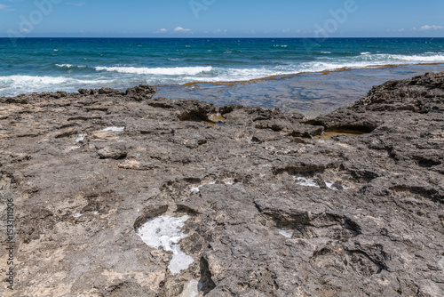 Fototapeta Naklejka Na Ścianę i Meble -  Calcareous reef rock and marine sediment (Pleistocene), Chiefly emerged coral reefs. Kaʻena Point Trail（North), Oahu Hawaii. Salt weathering / haloclasty, Tafoni. coastal erosion