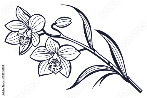 Simple Orchid Flower Sketch Design