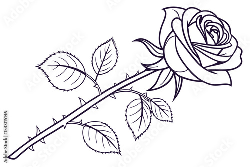 Minimalist Rose Artwork Clean Background