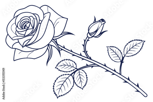 Rose Flower Simple Line Drawing on White
