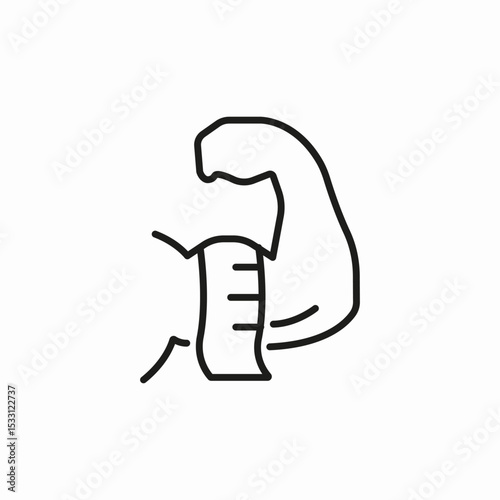 body measures icon sign vector