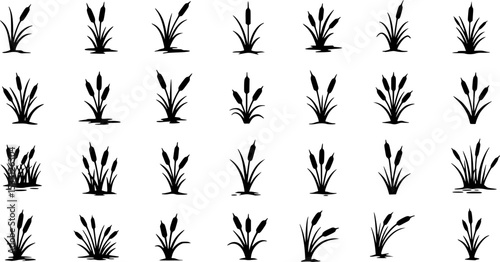 Cattail icon vector set. reeds illustration sign collection. swamp symbol. grass logo.
