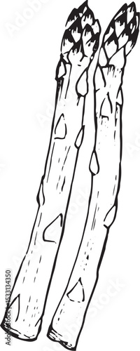 アスパラガス　丸ごと　手描き線画