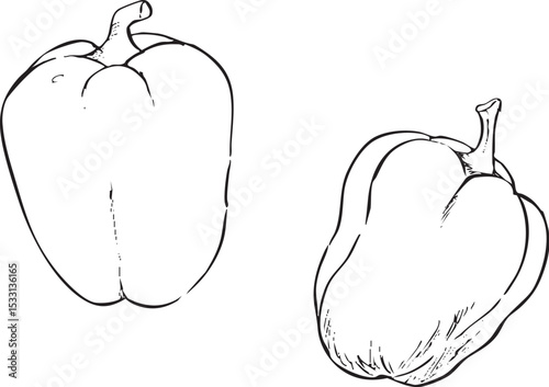パプリカ　手描き線画