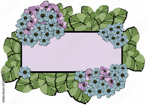 hydrangea flowers frame