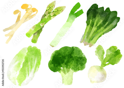 野菜　アイコン イラスト　手描き　水彩風