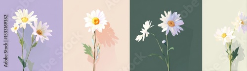 Four stylized daisy arrangements against pastel backgrounds, each showcasing varying bloom counts and subtle color shifts