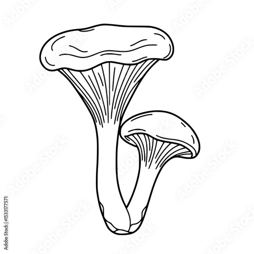 Outline of two Chanterelle in minimal black and white design  