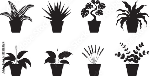 Vector silhouette collection of eight various potted houseplants in black and white for design use