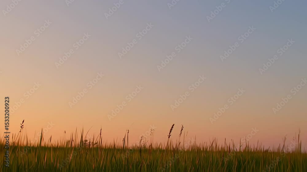 Serene Sunset over Grassy Field: Beautiful Golden Hour Landscape Scenery with Gentle Breeze Serene Sunset over Grassy Field: Beautiful Golden Hour Landscape Scenery with Gentle Breeze