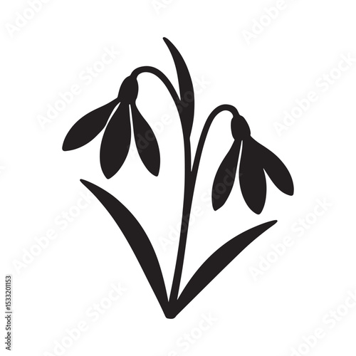 Snowdrop Flower Silhouette Botanical Illustration