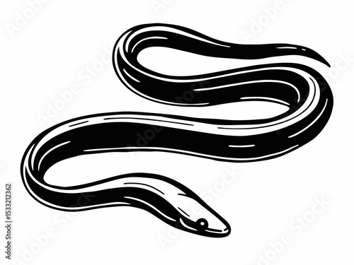 Elegant Black and White Moray Eel Illustration