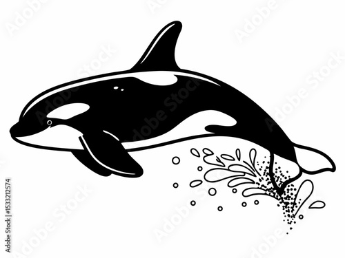 Powerful Orca Whale Leaping from Ocean Water Black and White Illustration