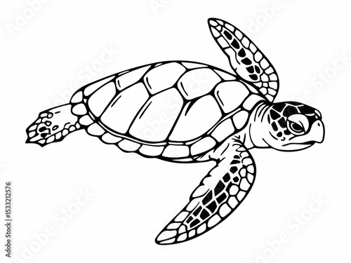 Sea Turtle Line Art Elegant Black and White Illustration
