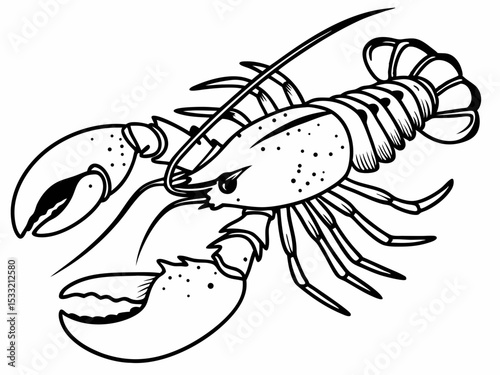 Detailed Line Drawing of a Lobster A Freehand Illustration