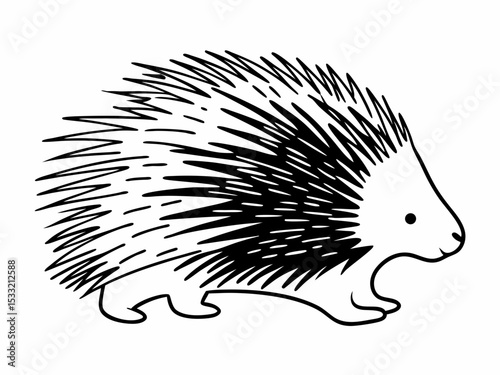 Adorable Porcupine Illustration Line Art Drawing of a Spiny Mammal