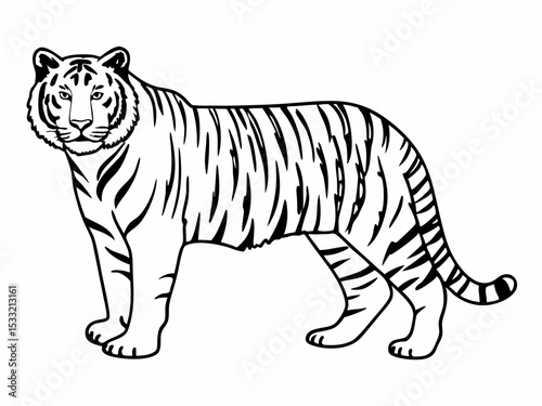 Majestic Tiger Line Art A Stunning Black and White Illustration