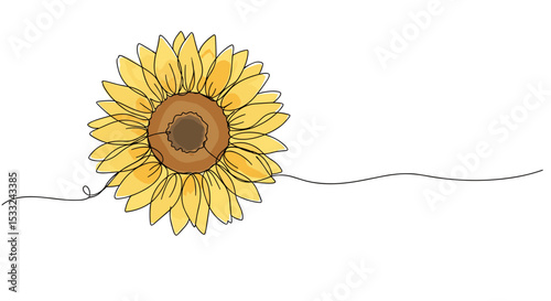 Sunflower – one line doodle drawing with watercolor fill, minimalistic vector illustration on white background