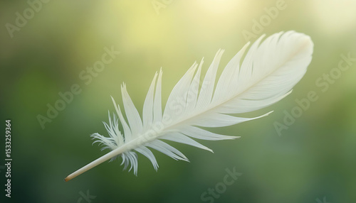 Single White Feather on Green Background